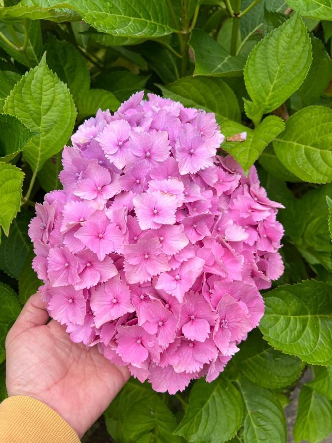 Casa En Treceno 5 Dormitorios Y 2 Plantas エクステリア 写真