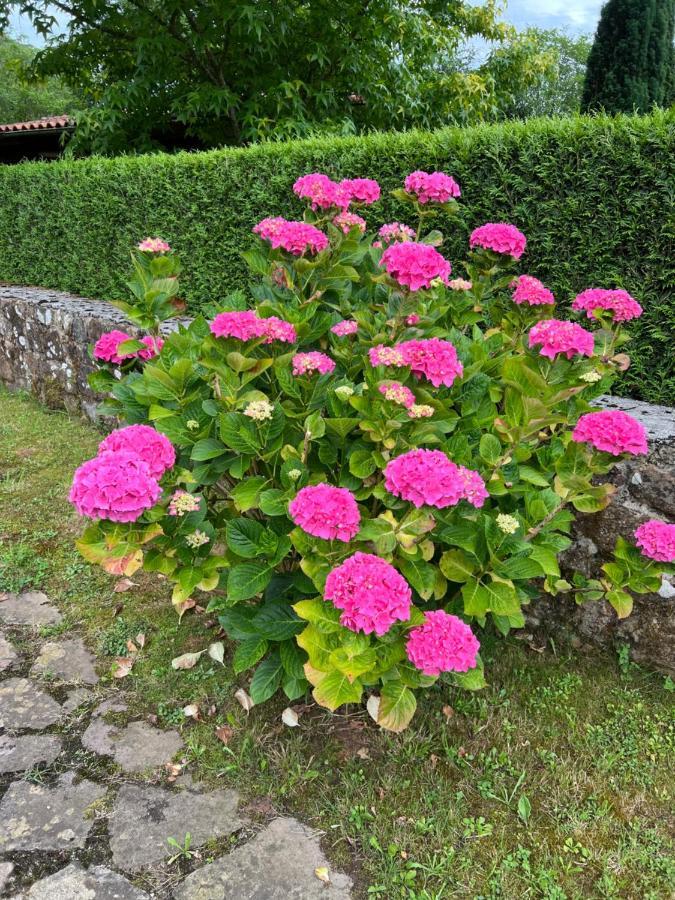 Casa En Treceno 5 Dormitorios Y 2 Plantas エクステリア 写真