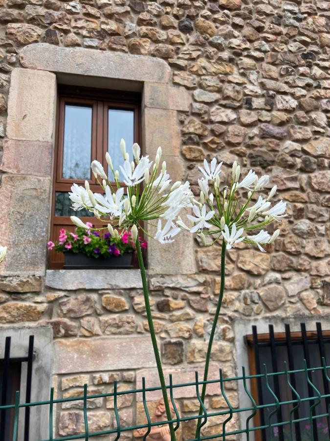 Casa En Treceno 5 Dormitorios Y 2 Plantas エクステリア 写真